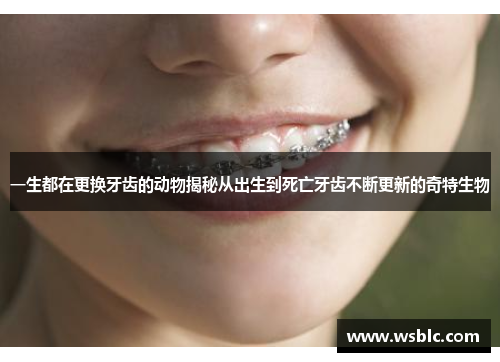 一生都在更换牙齿的动物揭秘从出生到死亡牙齿不断更新的奇特生物